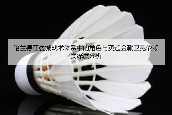 ha-lan-de-zai-man-cheng-zhan-shu-ti-xi-zhong-de-jue-se-yu-ying-chao-jin-xue-wei-mian-yi-lai-du-shen-du-fen-xi-3-335.jpg